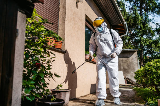 Best Flea Control Services  in Stiles, PA