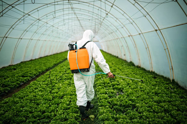 Best Best Pest Control Companies  in Stiles, PA