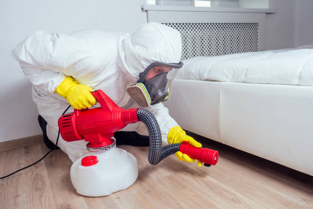 Best Affordable Pest Control Services  in Stiles, PA
