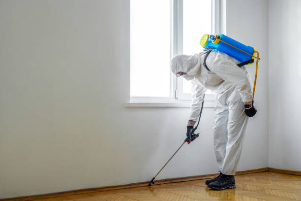 Best Pest Control Near Me in Stiles, PA