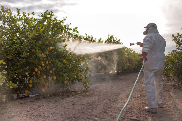 Best Affordable Pest Control Services  in Stiles, PA