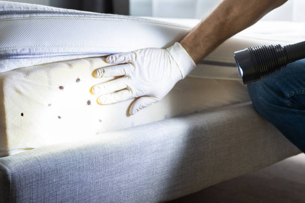 Best Best Pest Control Companies  in Stiles, PA