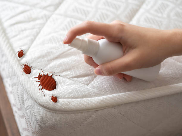 Best Local Pest Control Services  in Stiles, PA