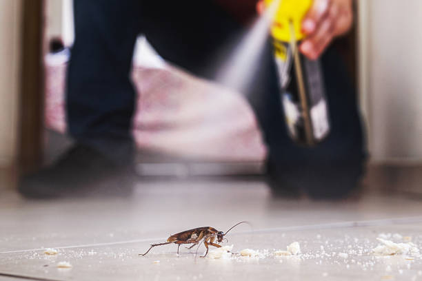 Best Pest Removal Services  in Stiles, PA