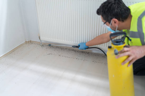 Best Emergency Pest Control  in Stiles, PA