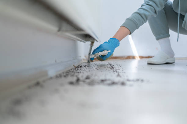 Best Mosquito Control Services  in Stiles, PA